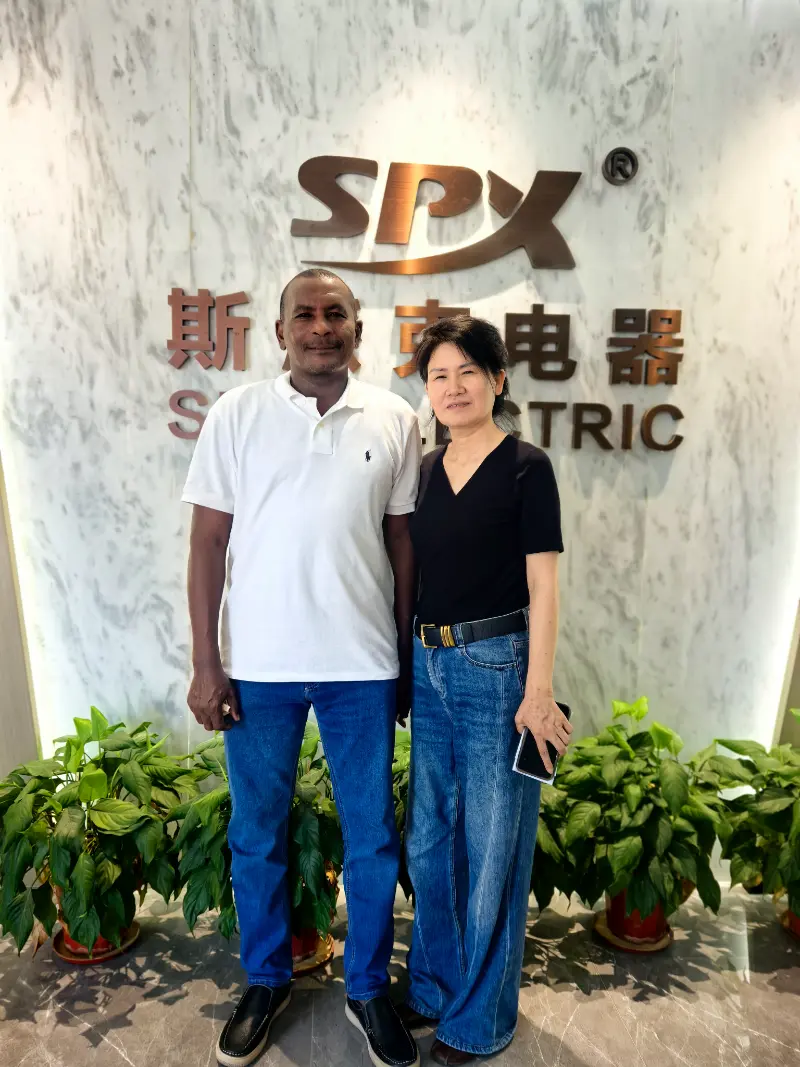 Un client étranger inspecte la production de MCCB, de contacteurs CA et d'EFV à l'usine SPX ELECTRIC